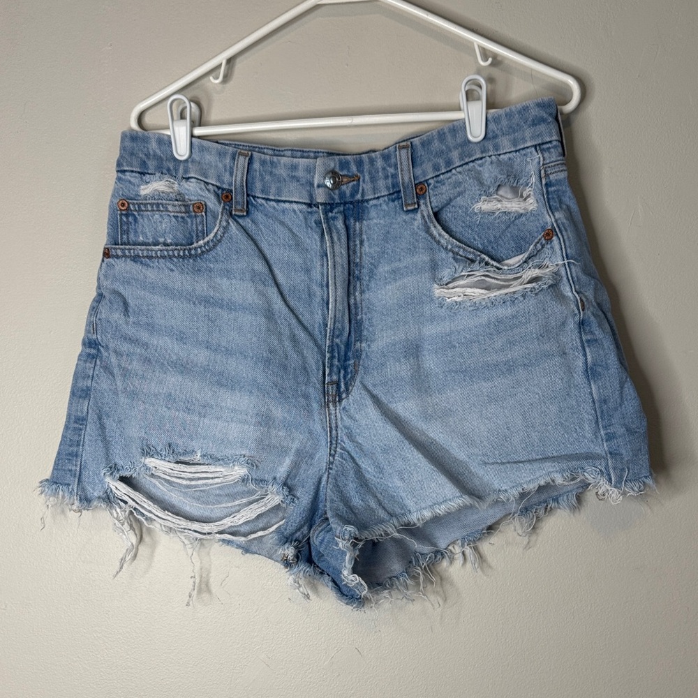 American Eagle Outfitters Light Wash Distressed Jean Shorts